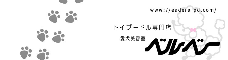 愛犬美容室　ベルベー
